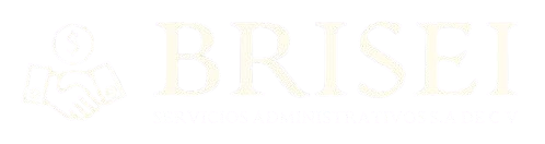 Brisei Servicios